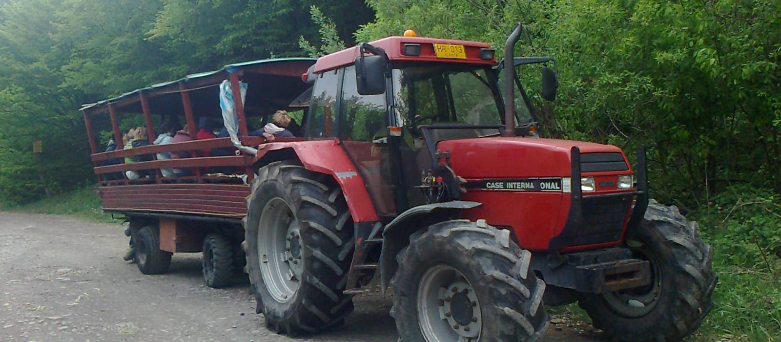 Activité récréative