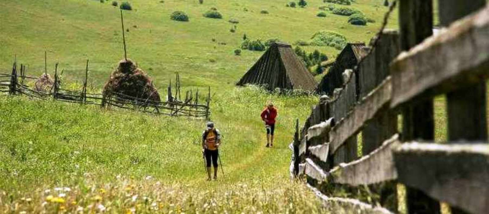 Activitate recreativă