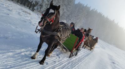 Plimbare cu sania trasă de cai în pădurile din Lăzăreşti