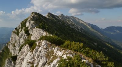 Drumeţii montane de 1/2 zi în Piatra Craiului - varianta 2