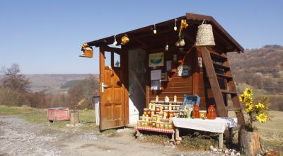 Miere alpină Satu Mare