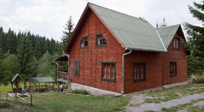 Fekete-rez Guesthouse Izvoru Muresului