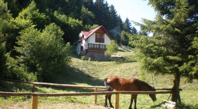 Timea Maison à louer Lazaresti