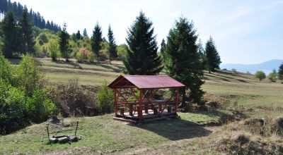 Loc de picnic Cozmeni