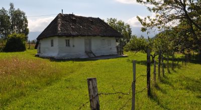 Old Cottage Moieciu