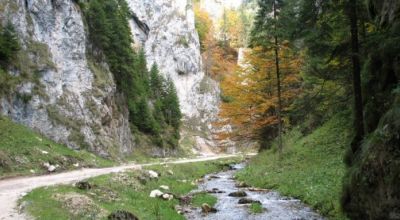 Cheile Dâmbovicioarei Dambovicioara