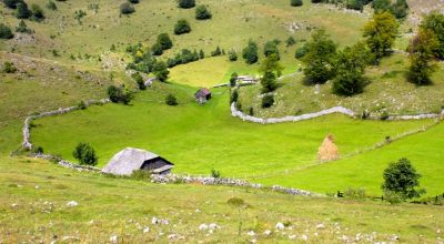 Asociaţia Pro Șirnea Fundata - Şirnea