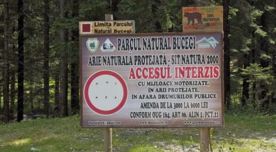 Parcul Natural Bucegi Moieciu de Sus