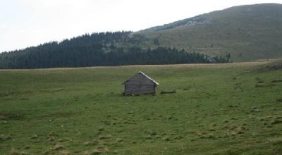 Stâna Guţanului Bran - Simon