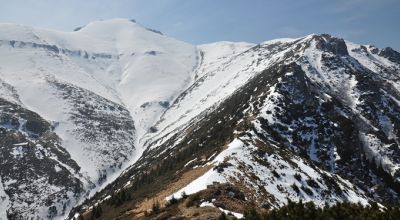 Velicanu Pic Rasnov