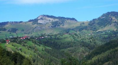 Gălbenele Pic Moieciu - Magura