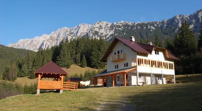 Cabana Dragoş Băjan Dambovicioara