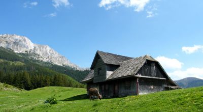 Guţanu Prairie Moieciu de Sus