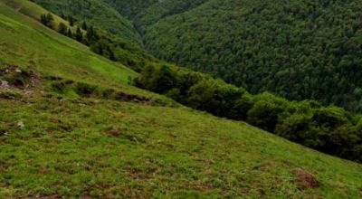 Vârful Vornicului Sinaia