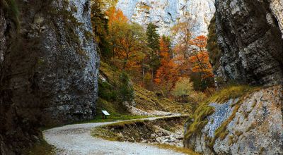 Cheile Zărneştiului Zărnesti