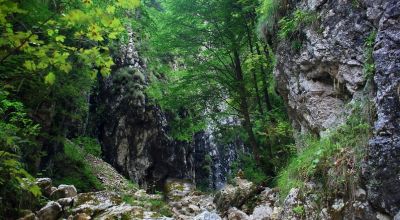 Cheile Pisicii Moieciu - Măgura