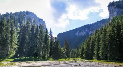  Orzea - Zănoaga Nature Reserve Moroieni