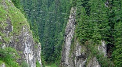 Réserve Naturelle Zănoaga – Lucacila Moroieni