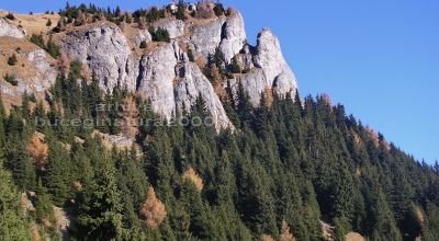 Réserve naturelle des Montagnes Colţii lui Barbeş Sinaia