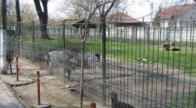 Jardin zoologique Oradea