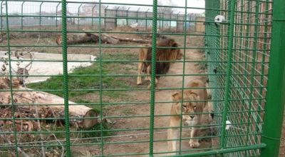 Oradea zoo Oradea