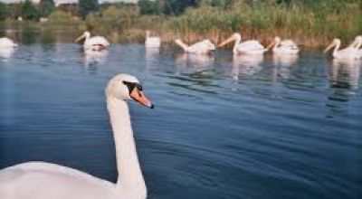 Grădina Zoologică Constanţa Constanţa