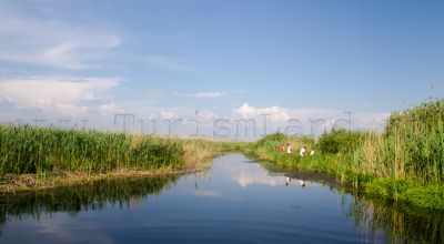 Parcul Natural Comana Giurgiu