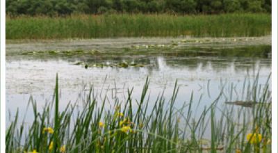 Parc Naturel Lunca Joasă a Prutului Inferior Galati