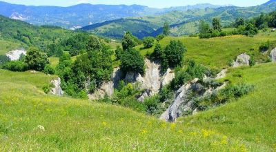 PLATOU MELEDIC Buzău