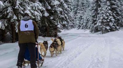 Dogsledding, Kalibáskő Vlahita