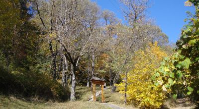 Chestnut Park Ocland