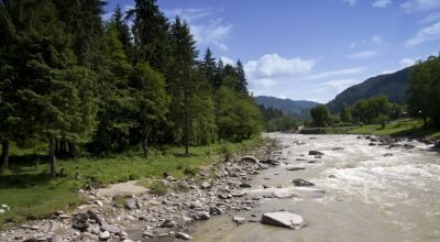 Reserve Forestiere Goşman-Tarcău Tarcau