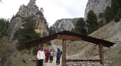 Réserve Naturelle CHEILE ȘUGĂULUI-MUNTICELU Bicazu Ardelean