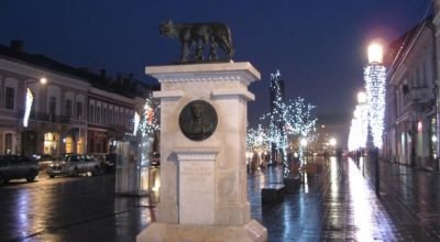 Statue Of Capitoline Wolf Cluj-Napoca