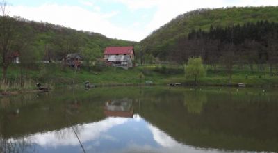 Lacul Dăbâca Dăbâca