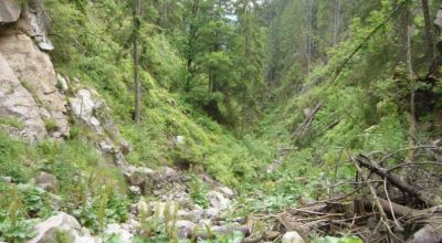 La Gorge de Dumitreasa Măguri-Răcătau