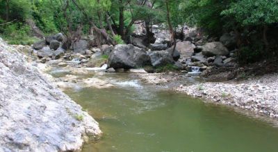 La Gorge de Borzesti Iara