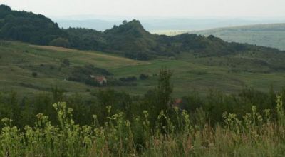 Szováti Legelő Botanikai Nemzeti Park Suatu (Magyarszovát)