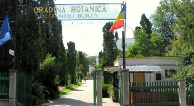 Jardin Botanique 