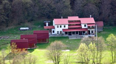 Moara de Padure Idegenforgalmi Panzió Băişoara (Járabánya)