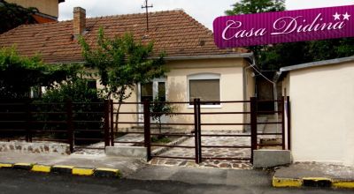 PENSION CASA DIDINA Bacau