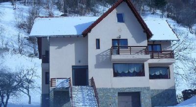 Pension Roua Bran - Simon