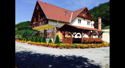 Pension Olimpia Dealu