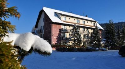 Hotel Bradul Argintiu Izvoru Muresului