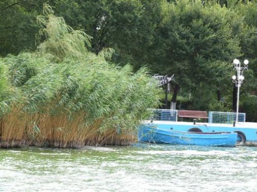 Ovidiu Île Mamaia