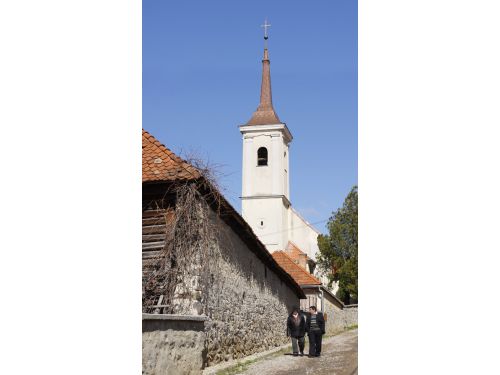 Eglise Catholique Romaine Satu Mare