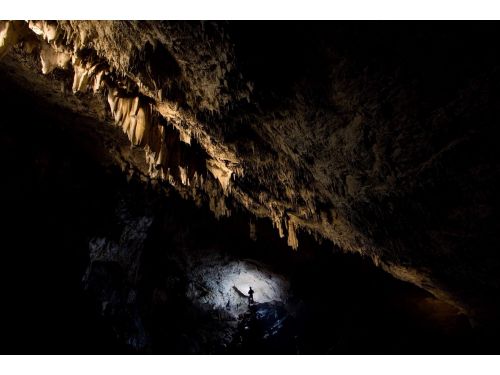 Cave Rasnoavei Rasnov