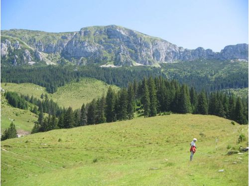 Guţanu Prairie Bran - Simon