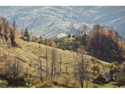 Măgura Peak Moieciu - Magura