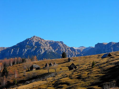 Gorganu Peak Moieciu de Sus